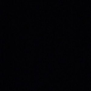 Meet your Posher, Dylan